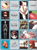 صورة الغلاف المحلية
